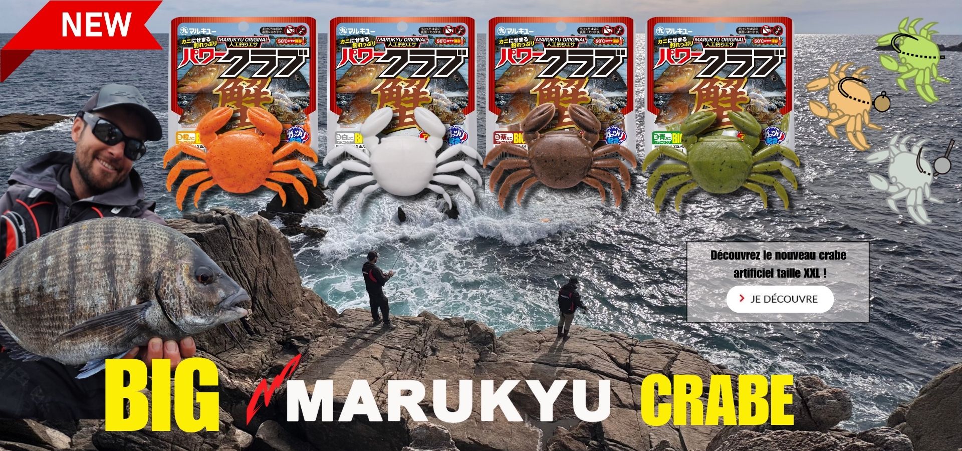 Big Marukyu Crabe